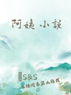 阿姨 小说