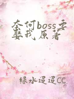 奈何boss要娶我原著