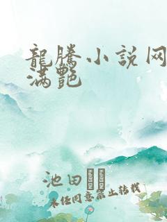 龙腾小说网乡村满艳