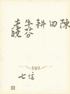 老牛耕田陈雪杨晓芬