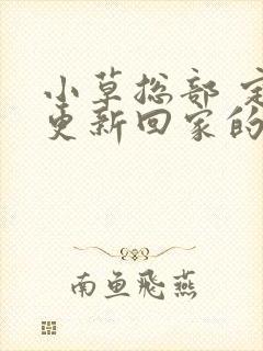 小草总部 定期更新回家的路