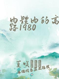 肉体内的高速公路1980