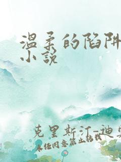 温柔的陷阱周芸小说