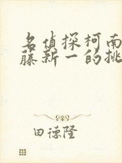 名侦探柯南给工藤新一的挑战书