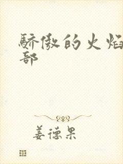 骄傲的火焰第二部