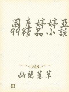 国产婷婷亚洲999精品小说