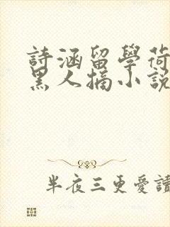 诗涵留学荷兰被黑人摘小说