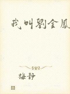 我叫刘金凤下架