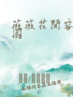 薇薇花开容颜倾国