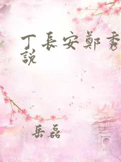 丁长安郑秀兰小说