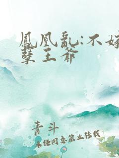凤凰乱:不嫁妖孽王爷