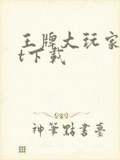 王牌大玩家txt下载