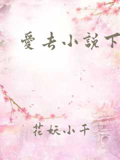 爱去小说下载网