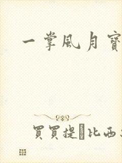 一掌风月宝鉴