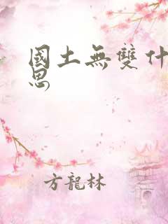 国土无双什么意思