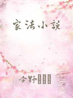 家法小说