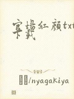 官场红颜txt下载