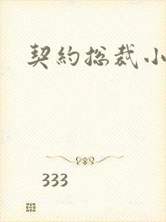 契约总裁小萌宝