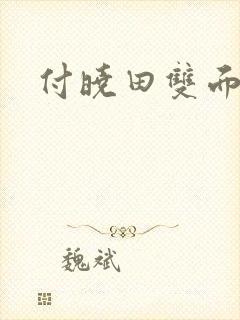 付晓田双面间谍