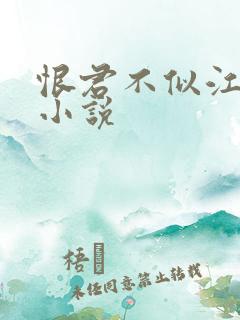 恨君不似江楼月小说