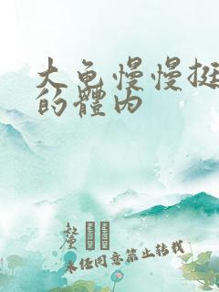 大龟慢慢挺进我的体内