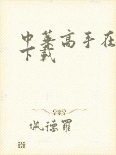 中华高手在异世下载