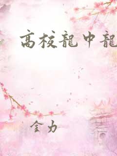 高校龙中龙