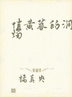 俏黄蓉的洞房花烛