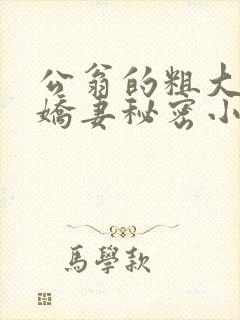 公翁的粗大放进娇妻秘密小说