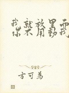 我就放里面不动你不用动我动