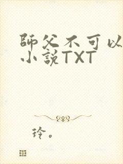 师父不可以灵犀小说TXT