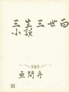 三生三世白暮泪小说