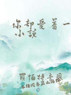 你却爱着一个他 小说