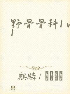 野骨骨科1 v1