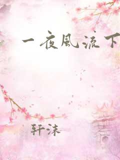一夜风流下载
