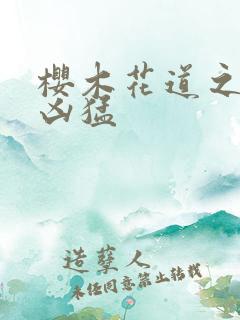 樱木花道之重生凶猛