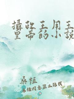 摄政王用玉髓整皇帝的小说