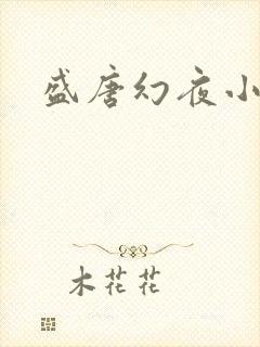 盛唐幻夜小说