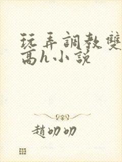 玩弄调教双胞胎高h小说