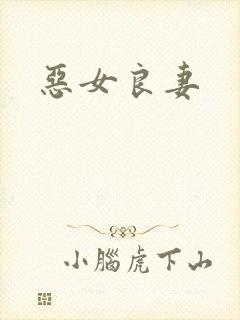 恶女良妻
