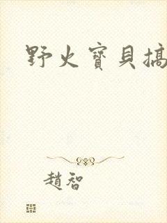 野火宝贝搞定你