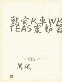 朝俞R车WRITEAS震动器