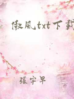 傲风txt下载