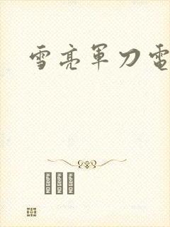 雪亮军刀电视剧