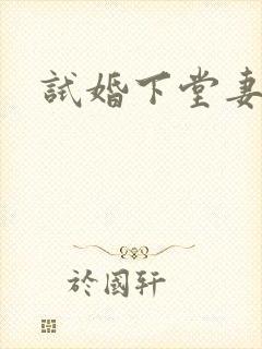 试婚下堂妻
