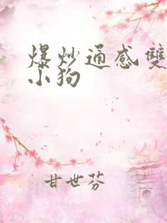 爆炒通感双胞胎小狗