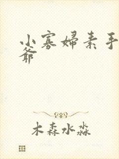 小寡妇素手擒四爷