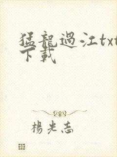 猛龙过江txt下载