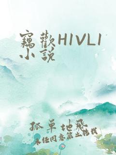 窃欢H1VL1小说
