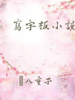 写字板小说